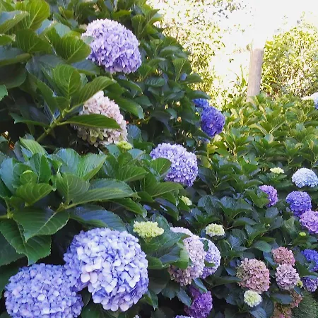 Nyaraló Lameiros São Vicente