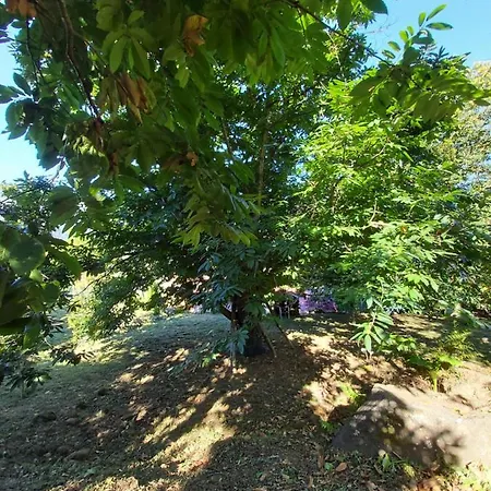 Lameiros * São Vicente