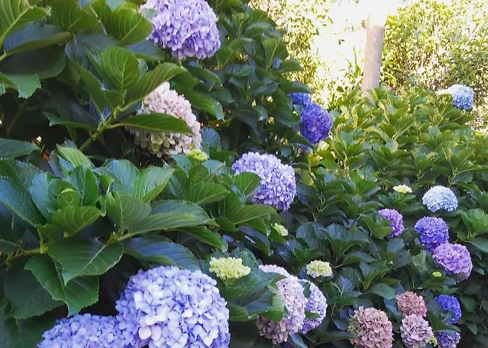 Дом отдыха Lameiros Сан-Висенти