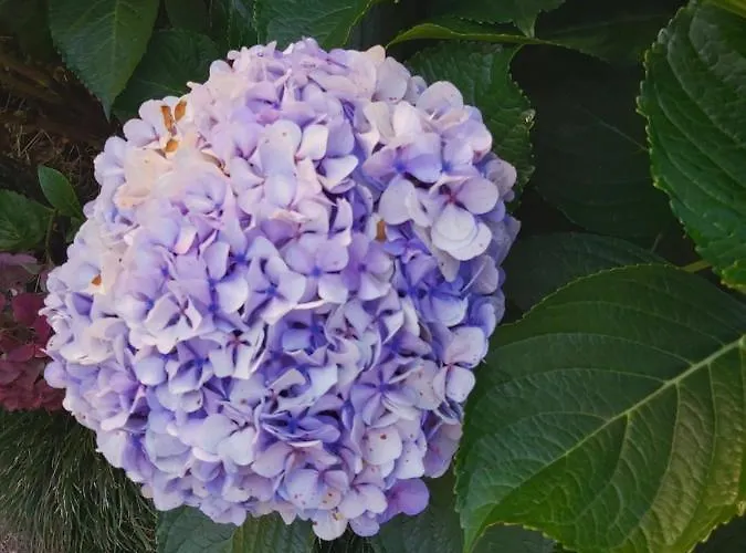 Lameiros Дом отдыха