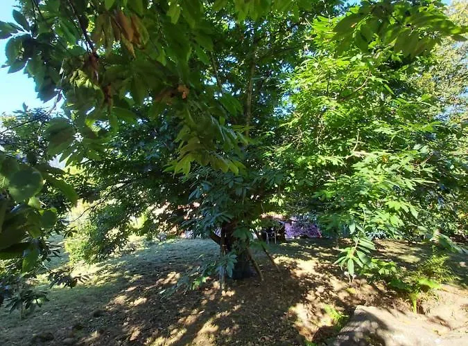 Lameiros * São Vicente